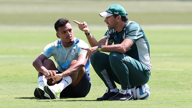 Teste na Libertadores dá opções para Abel mexer no Palmeiras para final