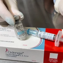Vacina contra a dengue deve chegar para cidades da região; Assis e Tupã estão fora da lista