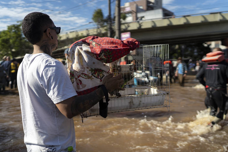 Inundação atinge 300 mil imóveis e 800 instalações de saúde no RS, conforme IBGE