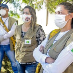 Ministério da Saúde já planeja antecipar ações para temporada de dengue 2025