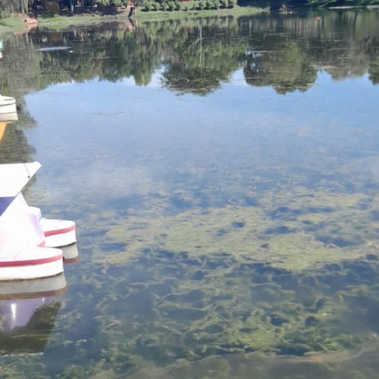 Garça mobiliza servidores para limpeza do lago, mas diz não haver condições para máquinas