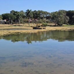 Garça inicia remoção das plantas que roubavam beleza do lago J.K. Williams