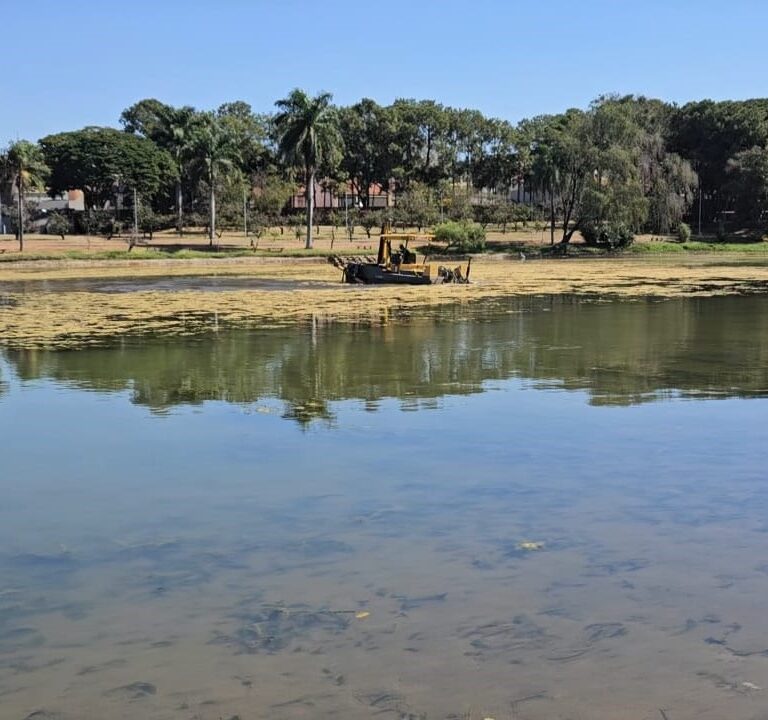 Garça inicia remoção das plantas que roubavam beleza do lago J.K. Williams