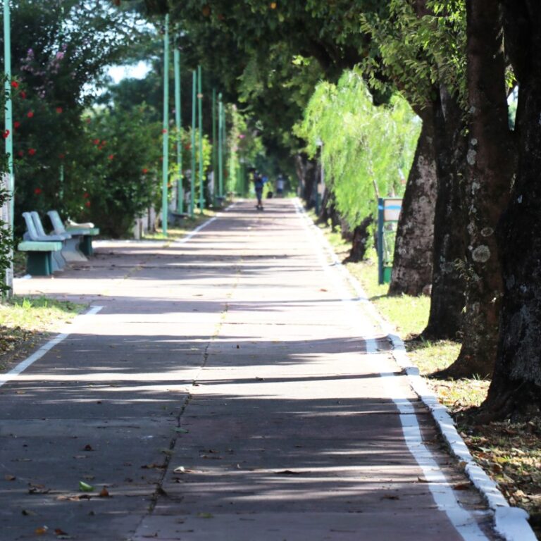 Força-tarefa realiza capinação, limpeza e pintura na pista de cooper da Pedro de Toledo