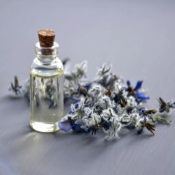 Qual perfume é parecido com Acqua di Gio?