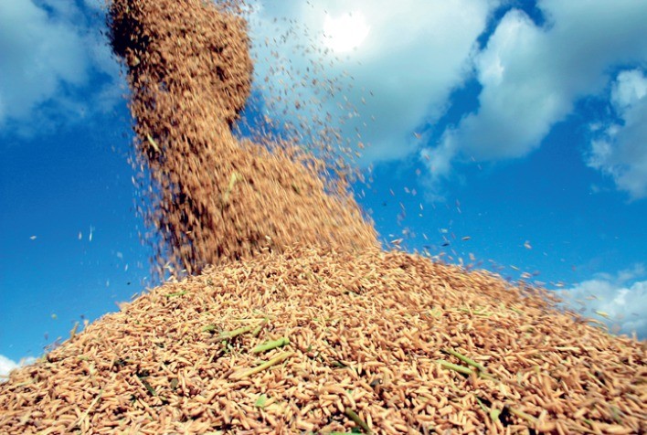 CNA questiona no STF importação de arroz autorizada pelo governo federal