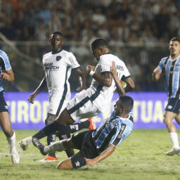 Botafogo vence o Grêmio e assume a liderança do Campeonato Brasileiro