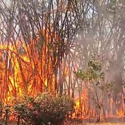 Incêndio gera preocupação e temor por prejuízos na Fazenda do Estado