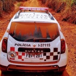 Polícia Civil investiga furto de 15 cabeças de gado nelore