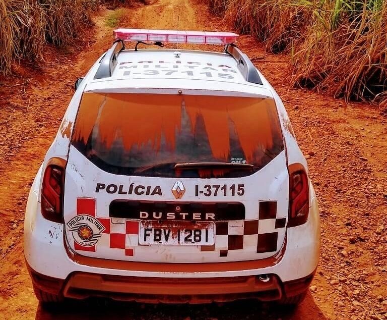 Polícia Civil investiga furto de 15 cabeças de gado nelore