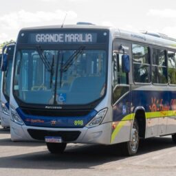 Nova linha de ônibus para avenida Cascata começa a operar hoje