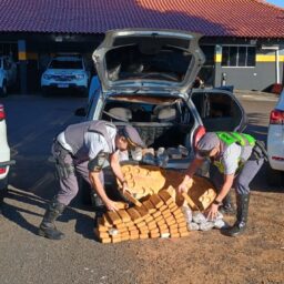 Operação em rodovia da região apreende drogas e detém homem em flagrante