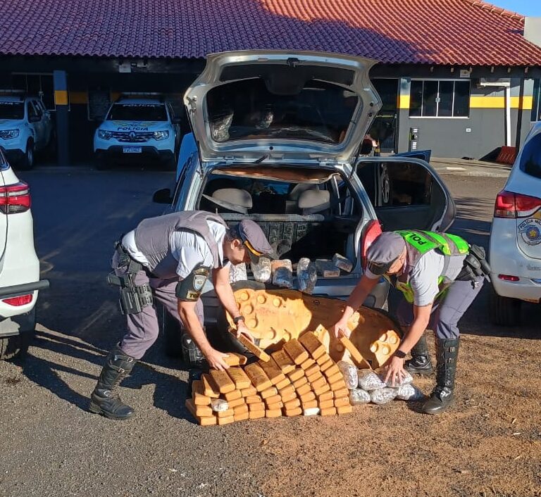 Operação em rodovia da região apreende drogas e detém homem em flagrante