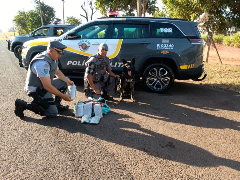 Em ação da PM Rodoviária, cão Gray fareja skank em ônibus e leva adolescente à delegacia