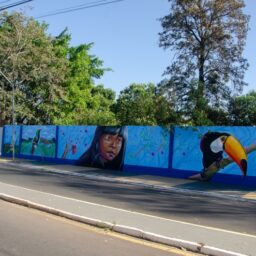 Artista expõe trabalho de grafitagem na paisagem urbana de Quintana