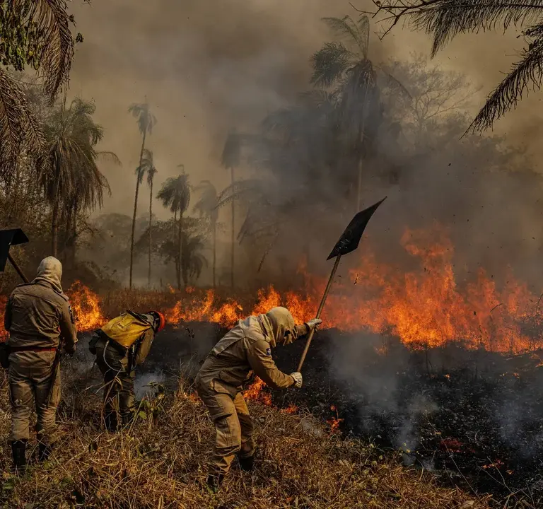 Área queimada no pantanal em 2024 já é 54% maior do que em ano de destruição recorde