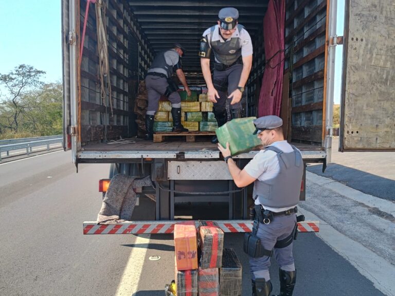 Ação policial conjunta apreende 1,5 tonelada de maconha na SP-333 em Marília