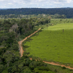 União Europeia doa contribuição de R$ 120 milhões para o Fundo Amazônia