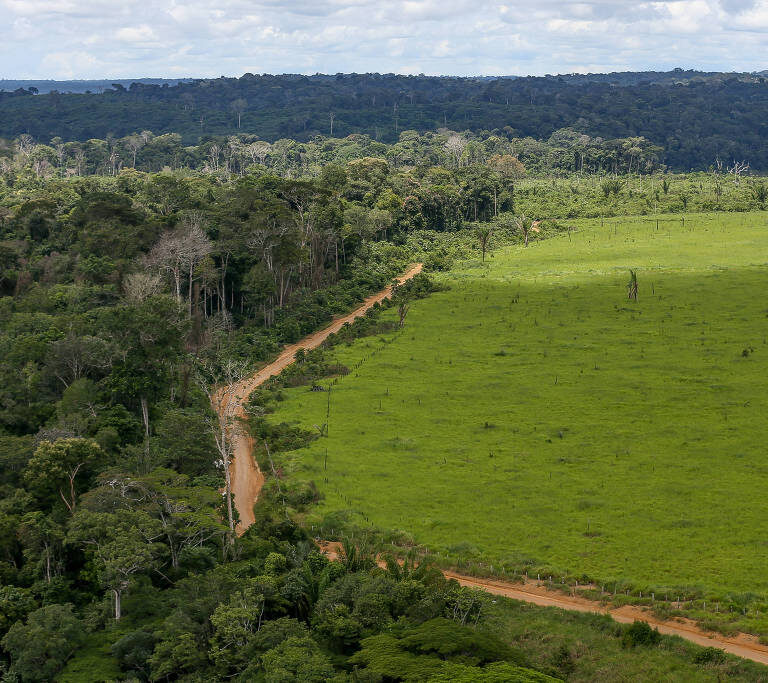 União Europeia doa contribuição de R$ 120 milhões para o Fundo Amazônia