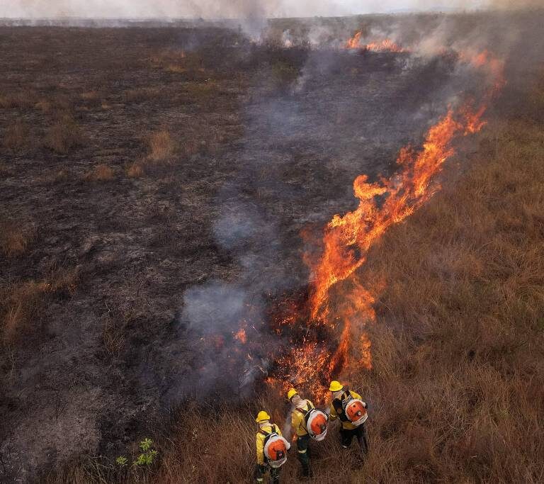 Após três temporadas de queimadas devastadoras no pantanal, Senado aprova projeto de manejo do fogo