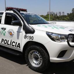 Reincidente, homem é investigado por manter gatos, cães e galo em condições precárias