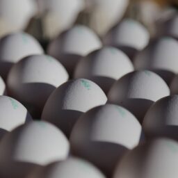 Prefeitura homologa compra de quase R$ 1 milhão em dúzias de ovos