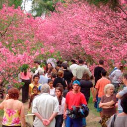 Garça anuncia a realização de pelo menos 10 eventos culturais e de lazer em 2025