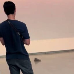 Jovem larga All Star em um museu de Nova York e tênis é confundido com obra