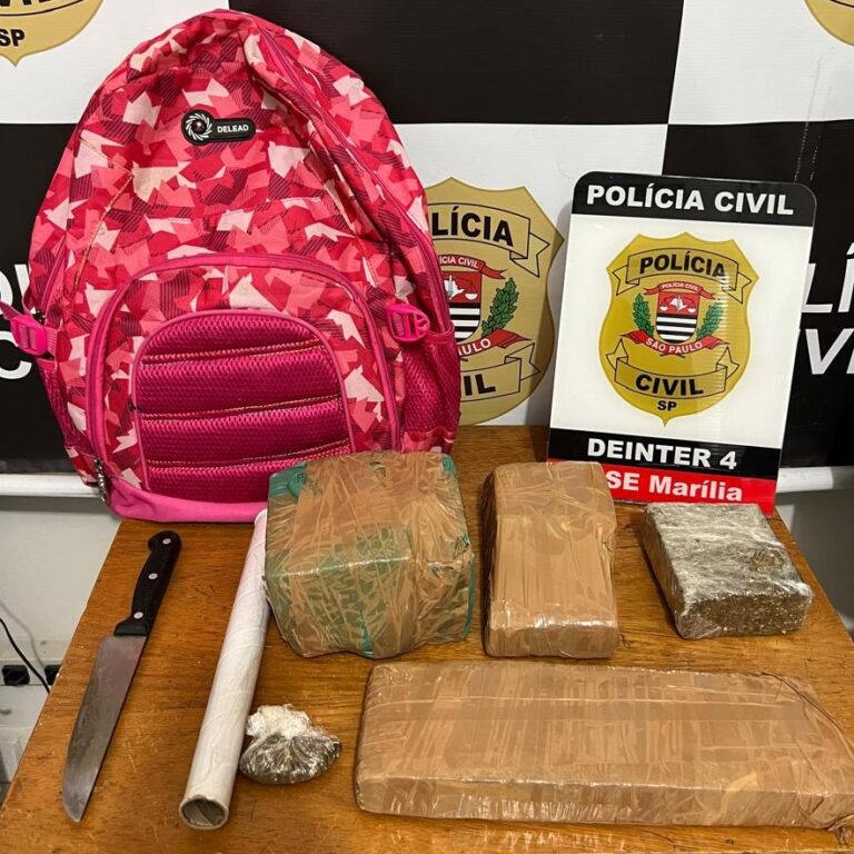 Ação conjunta da Dise com a PM apreende tijolos de maconha escondidos no Maracá