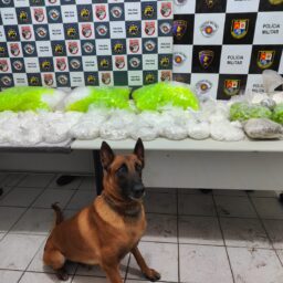 Operação da PM apreende mais de 30kg de cocaína na Vila Barros