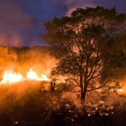 Incêndio atinge sítios na região da Cascata e produtores relatam suspeitos em motos