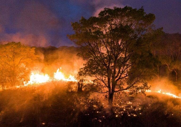 Incêndio atinge sítios na região da Cascata e produtores relatam suspeitos em motos