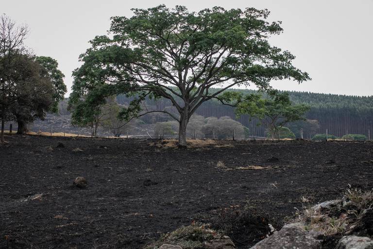 Caminho do fogo tem agro ressentido e incerteza sobre culpados