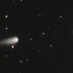 Saiba como ver cometa que chegou a ser tratado como ‘atração’ do século