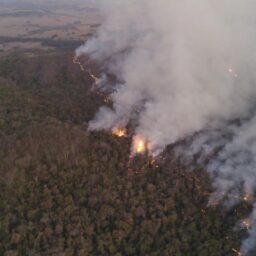 Incêndio em Pompeia entra no quinto dia e ameaça distrito industrial