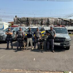 Caminhoneiro é preso com mais de duas toneladas de maconha escondidas em sucata