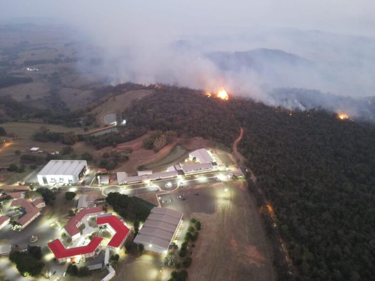 Região é assolada pelo fogo; municípios amanhecem cobertos por fumaça