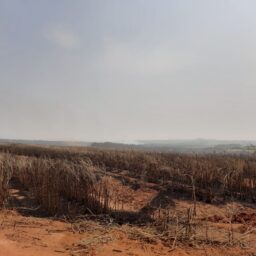 Incêndio devasta mais de 150 alqueires de mata ciliar em Arco-Íris