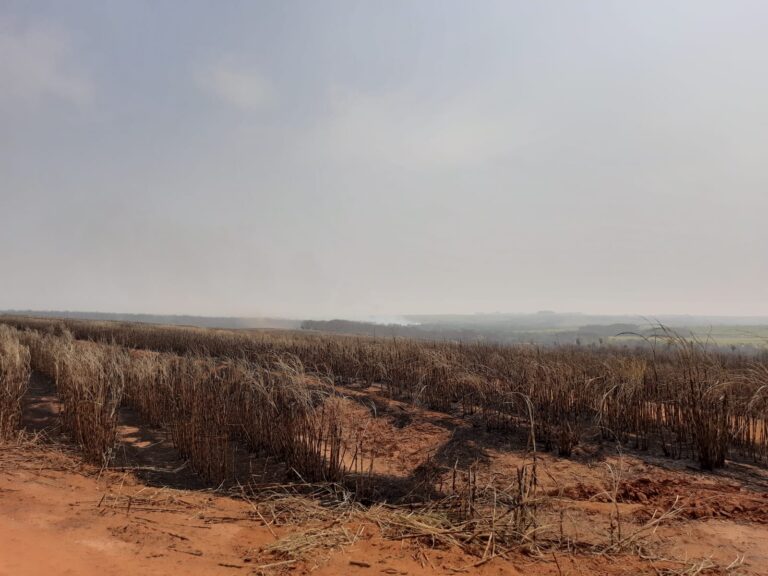 Incêndio devasta mais de 150 alqueires de mata ciliar em Arco-Íris