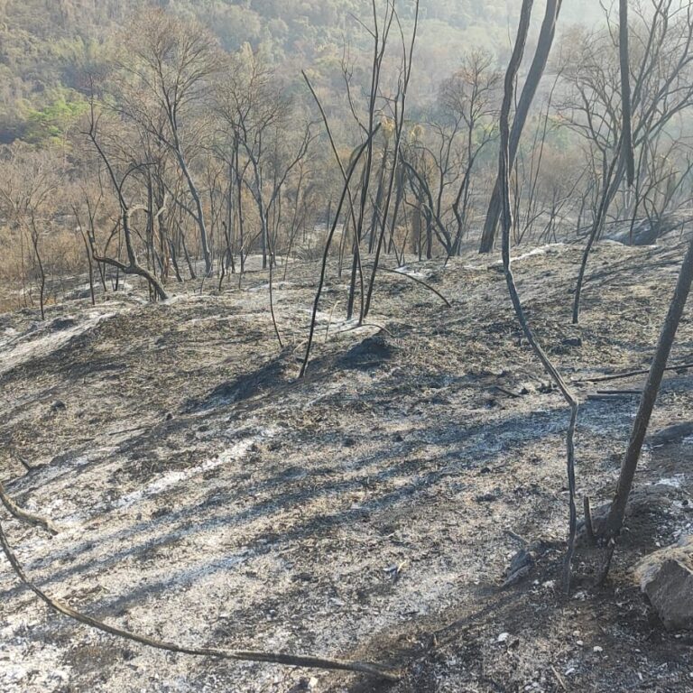 Falta de manutenção em rede de energia teria causado incêndio na região, conclui polícia