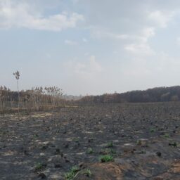 Polícia apura incêndio iniciado em colhedeira de cana e multa fazendas em R$ 1,7 milhão