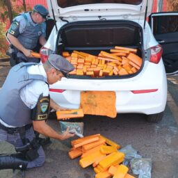 Entre maconha e haxixe, PM Rodoviária apreende mais de 260 quilos de drogas em veículo