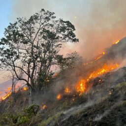 Primavera começa com alerta para risco de novos incêndios em São Paulo