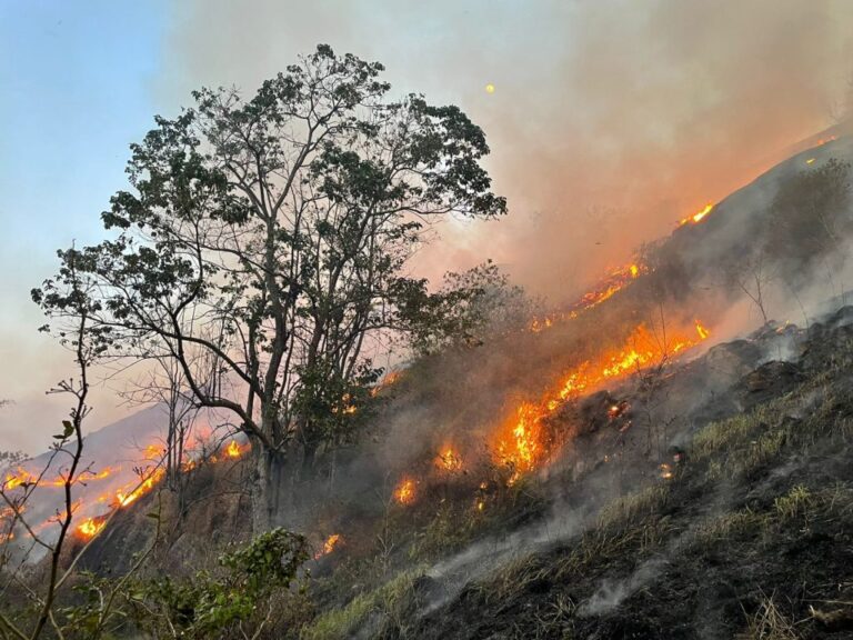 Primavera começa com alerta para risco de novos incêndios em São Paulo