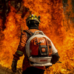 Em dez dias, pantanal registra o dobro do total de incêndios de setembro de 2023