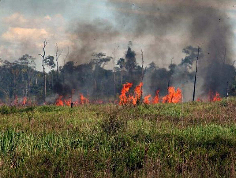 Focos de incêndio no estado de SP voltam a crescer e chegam a três nesta terça