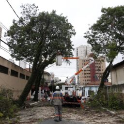 Defesa Civil emite alerta para chuva forte e ventania em SP a partir de sexta