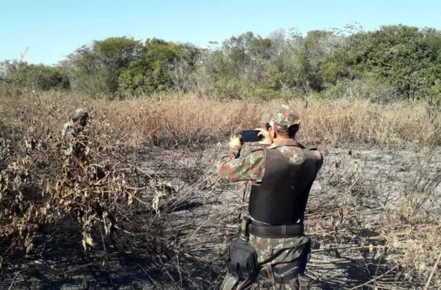 Multas contra autores de incêndios criminosos somam R$ 224 milhões e 96 autuações