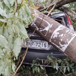 Escola de Vera Cruz promove campanha para professora que perdeu carro em tempestade