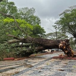 Forte tempestade chega à região e provoca estragos em Vera Cruz